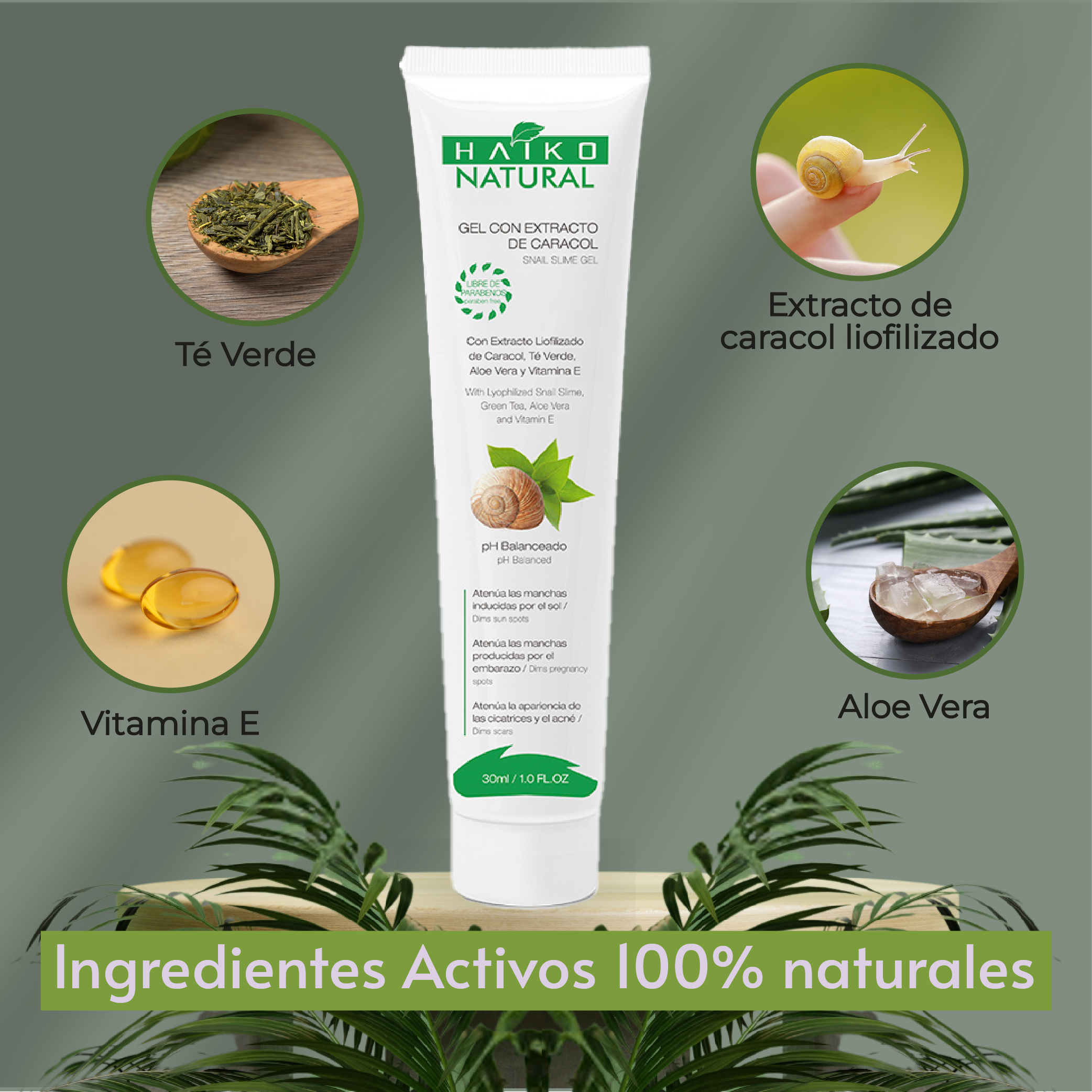 Gel con Extracto de Caracol- 30g | Mejora la Apariencia de Manchas y Cicatrices | Libre de Parabenos