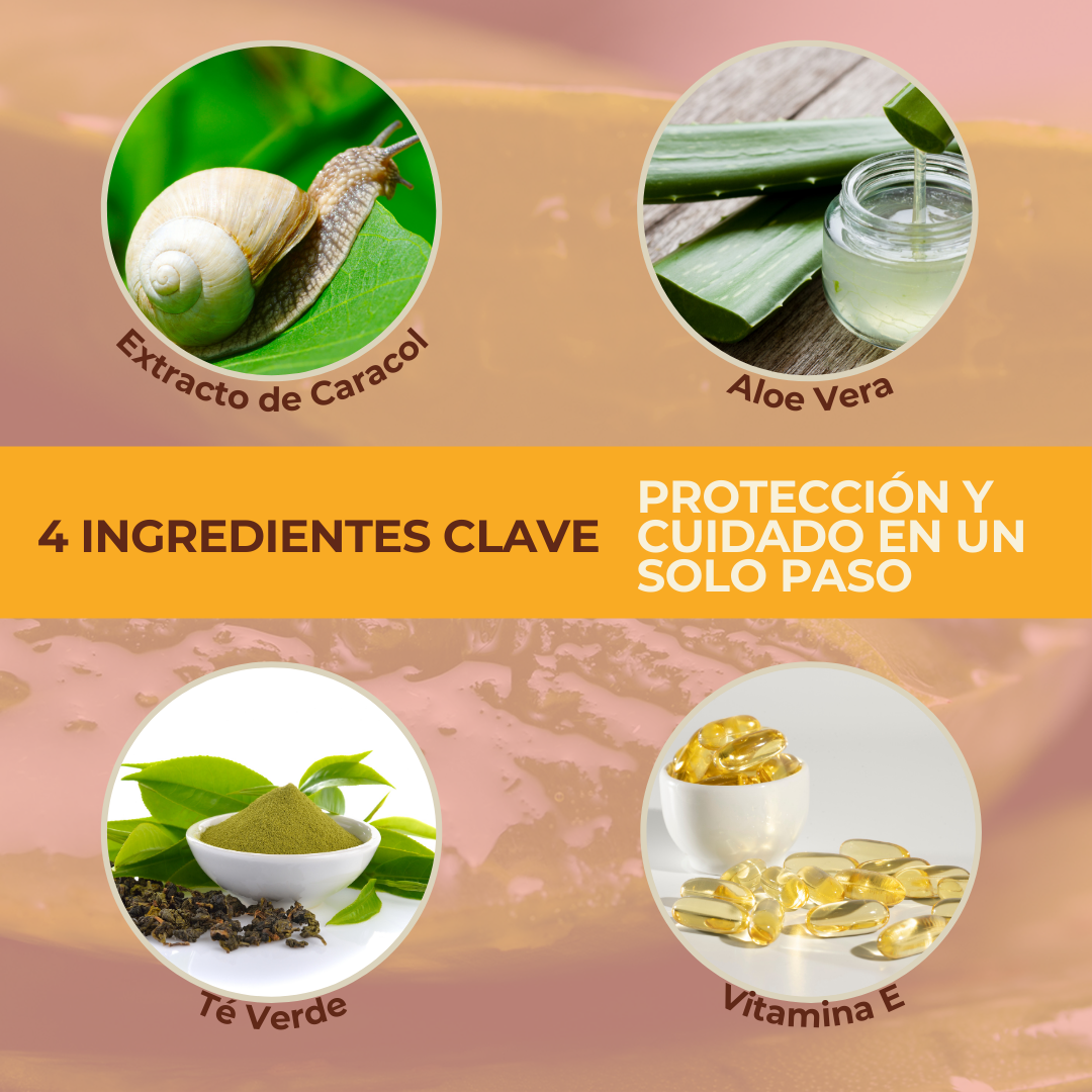 Protector-solar-SPF-60-ingredientes