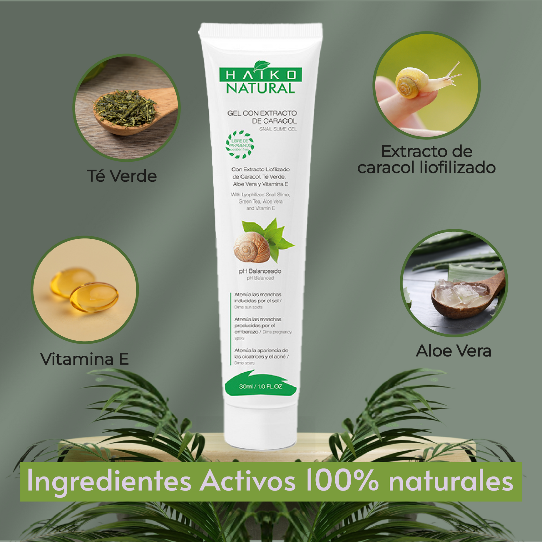 Gel con Extracto de Caracol- 30g | Mejora la Apariencia de Manchas y Cicatrices | Libre de Parabenos