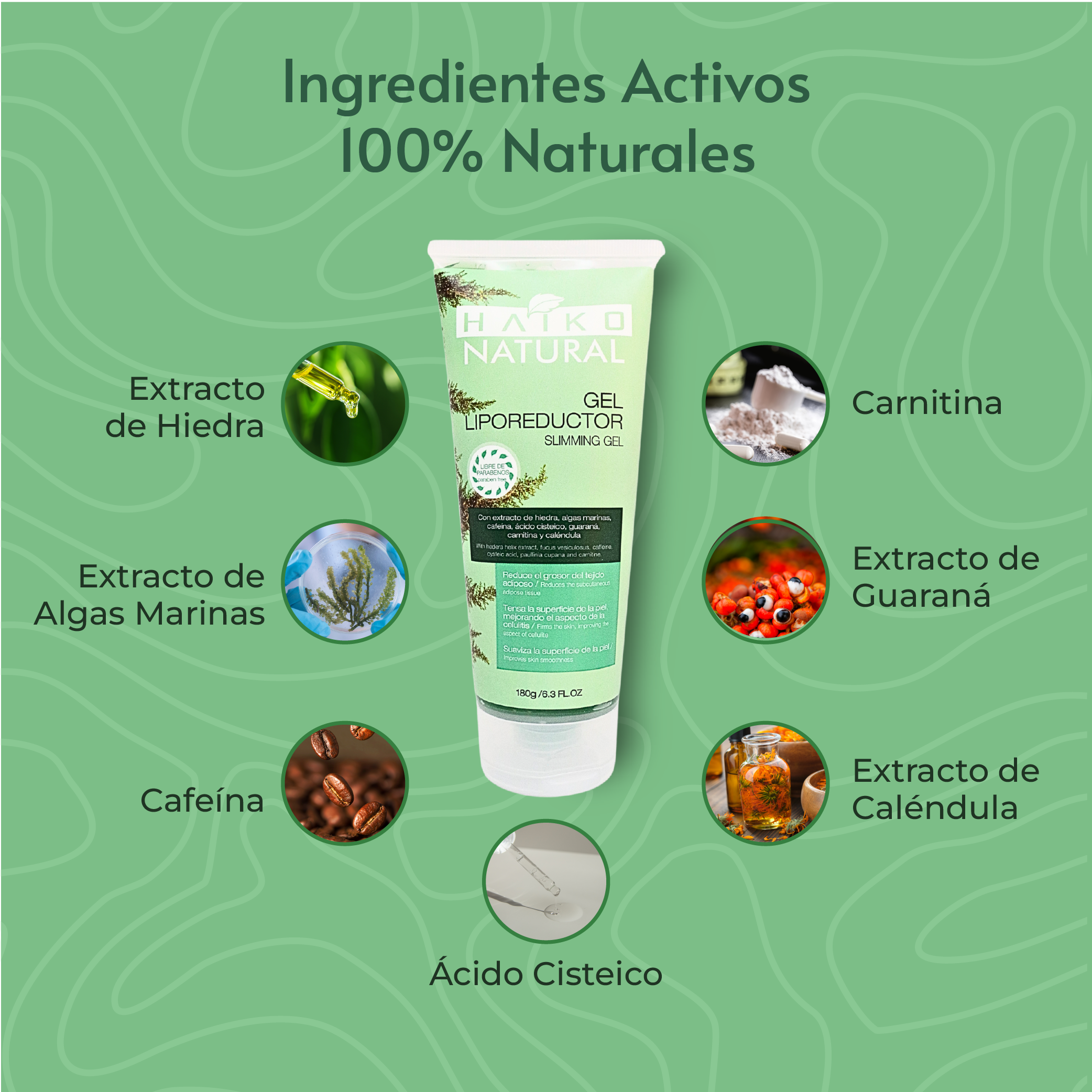 GEL_LIPOREDUCTOR-INGREDIENTES