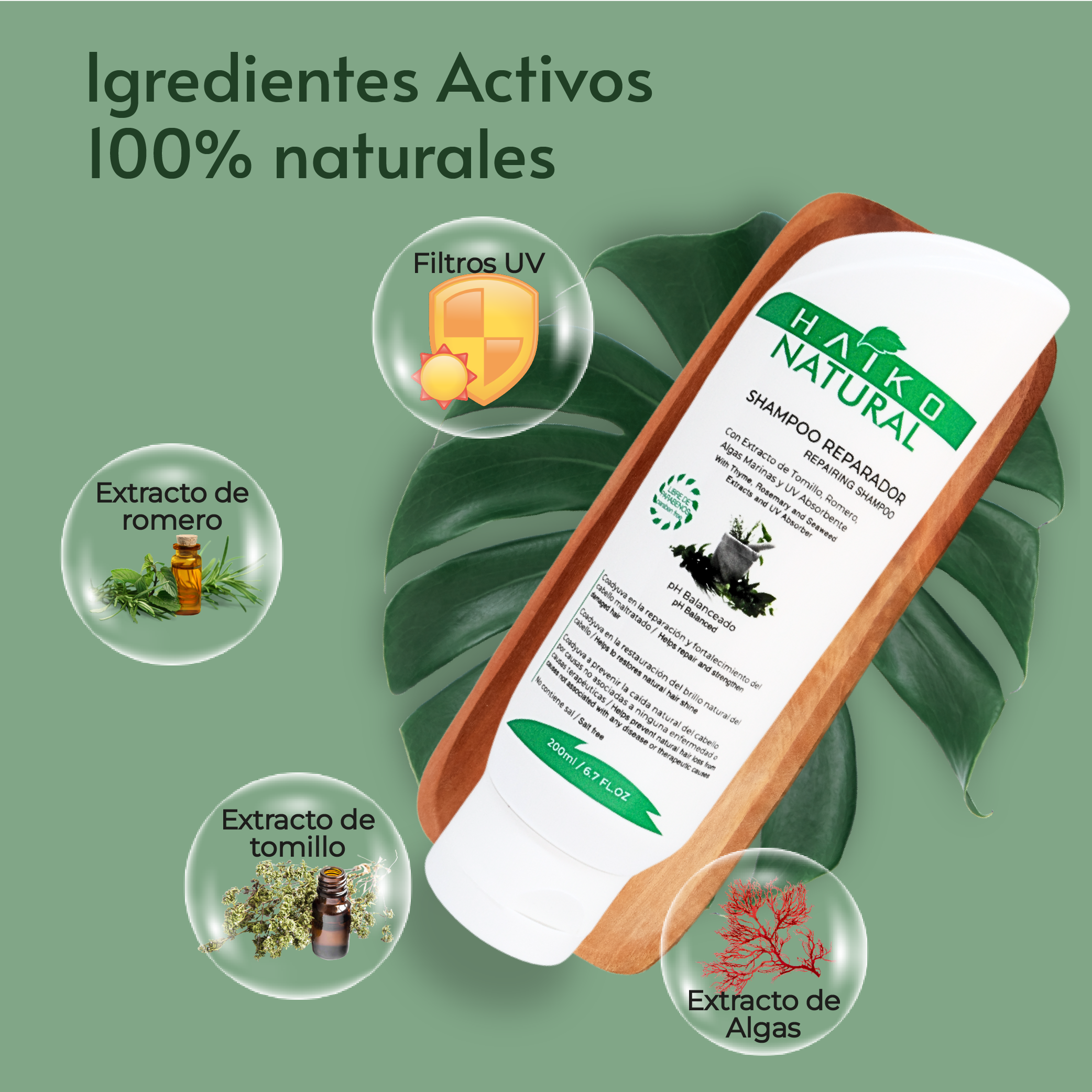 SHAMPOO_REPARADOR_INGREDIENTES